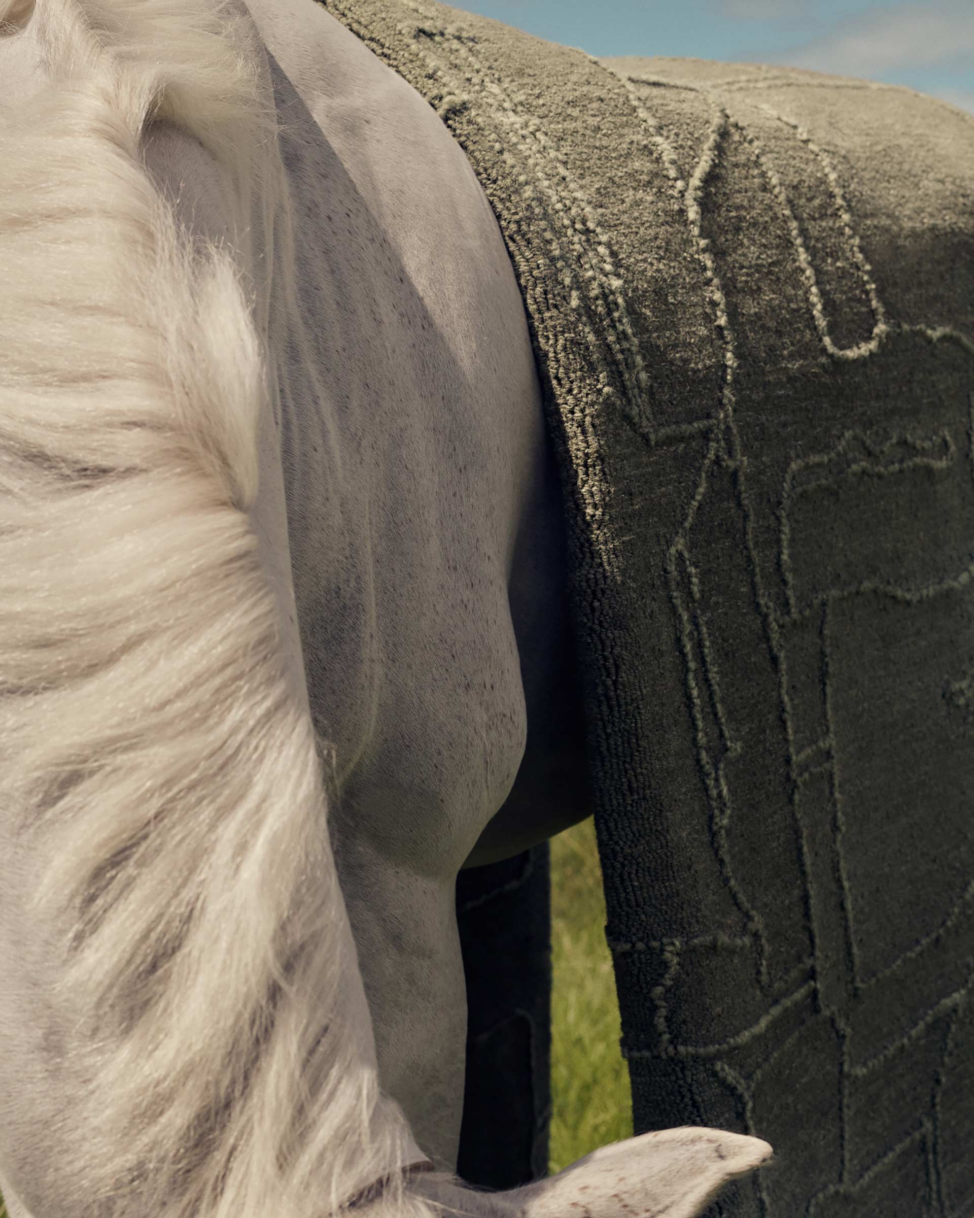 Close-up of a light gray horse with a textured gray covering standing in a green field on a sunny day with a blue sky.