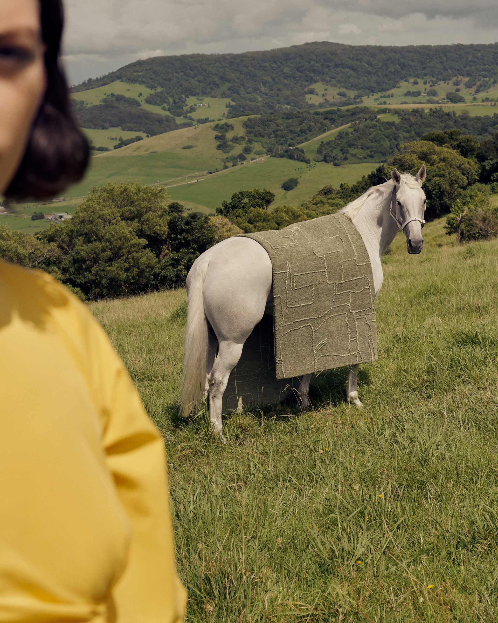 Artistic scene with a white horse draped in green fabric standing in a grassy field, contrasted by a blurred woman in yellow.