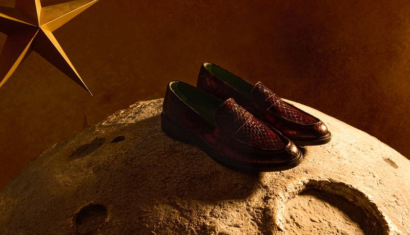 Fashionable snake-skin leather loafers staged on a textured surface with golden star accent, creating an eye-catching footwear display.