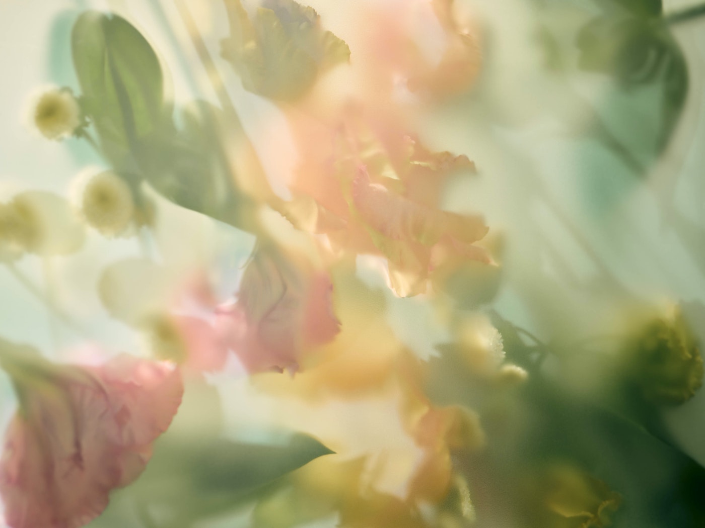 Dreamy floral arrangement with pink, peach, and white flowers and green leaves, creating a soft, diffused, pastel-colored abstract effect.