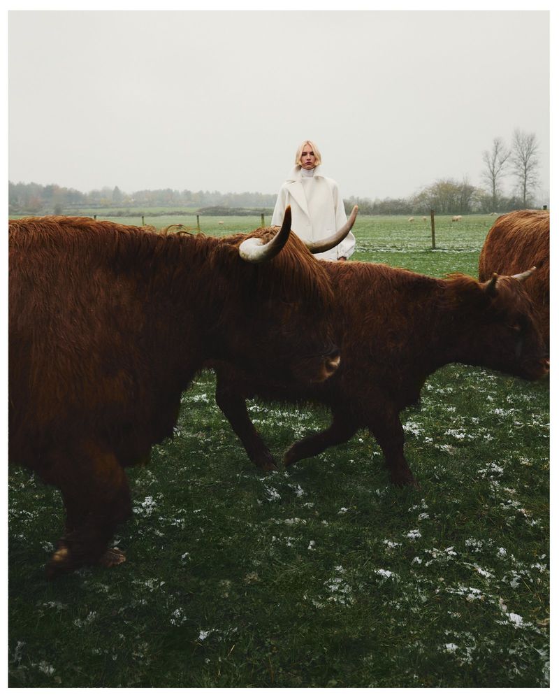 A woman in a white coat stands behind a herd of brown Highland cattle in a field on a cloudy day, blending fashion and nature.