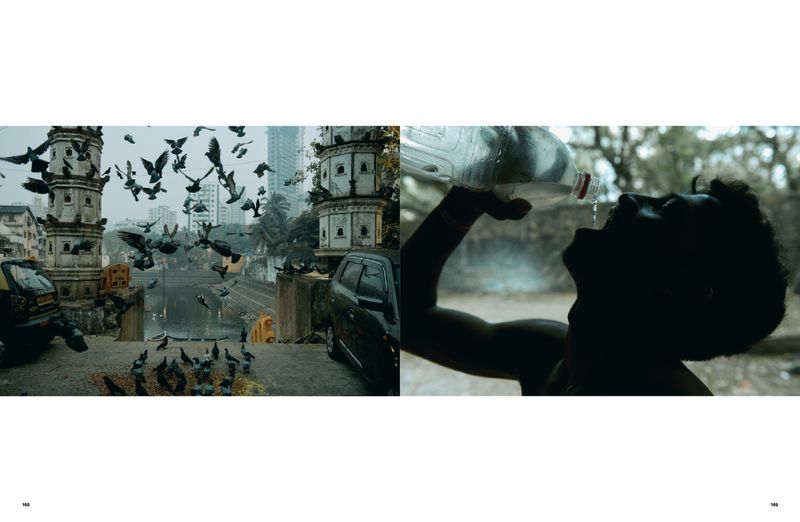 A split image shows a flock of birds flying near towers and a man drinking water from a bottle in a blurred outdoor environment.
