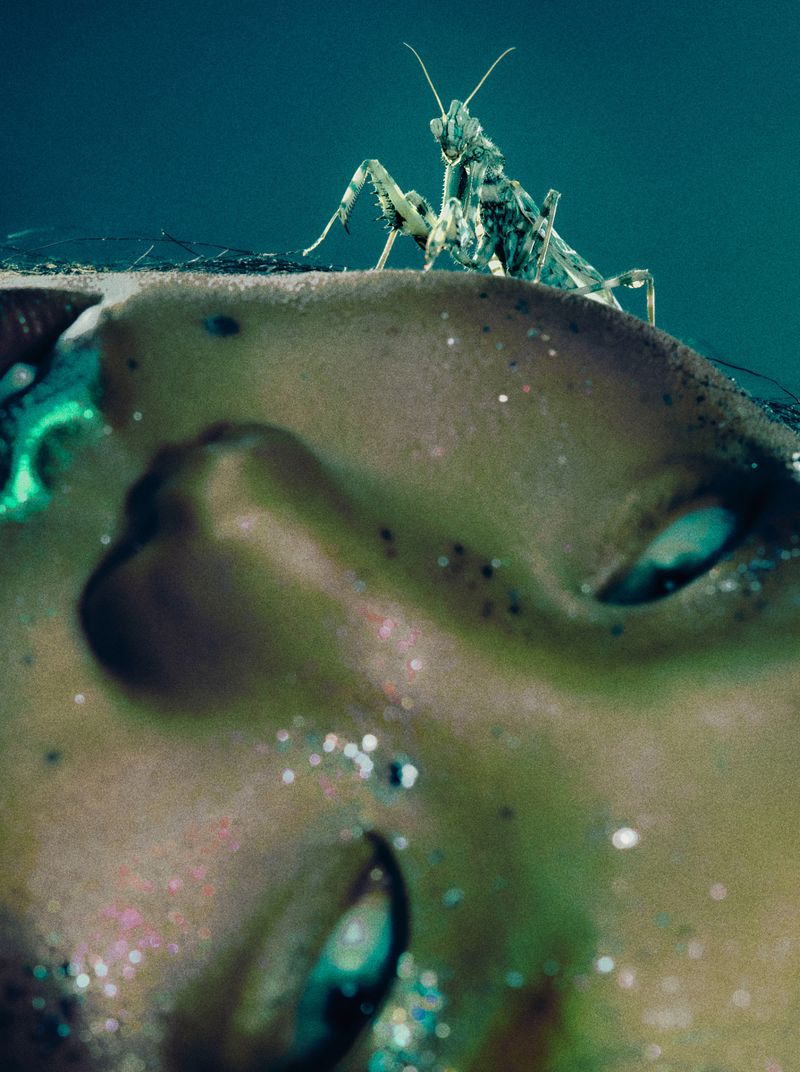Macro image shows a mantis insect atop the forehead of a woman with glitter makeup in a shallow depth of field studio setting.