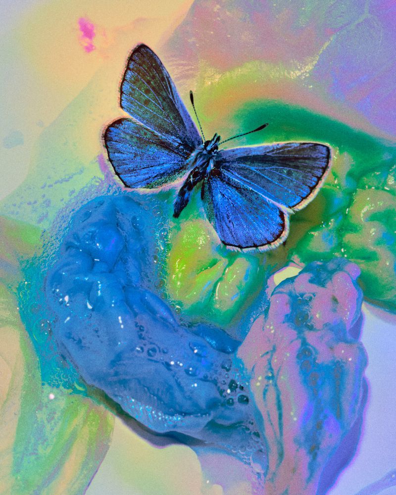 Close-up of a vibrant blue butterfly resting on textured, colorful liquid, illuminated with soft, dreamlike lighting and iridescent highlights.
