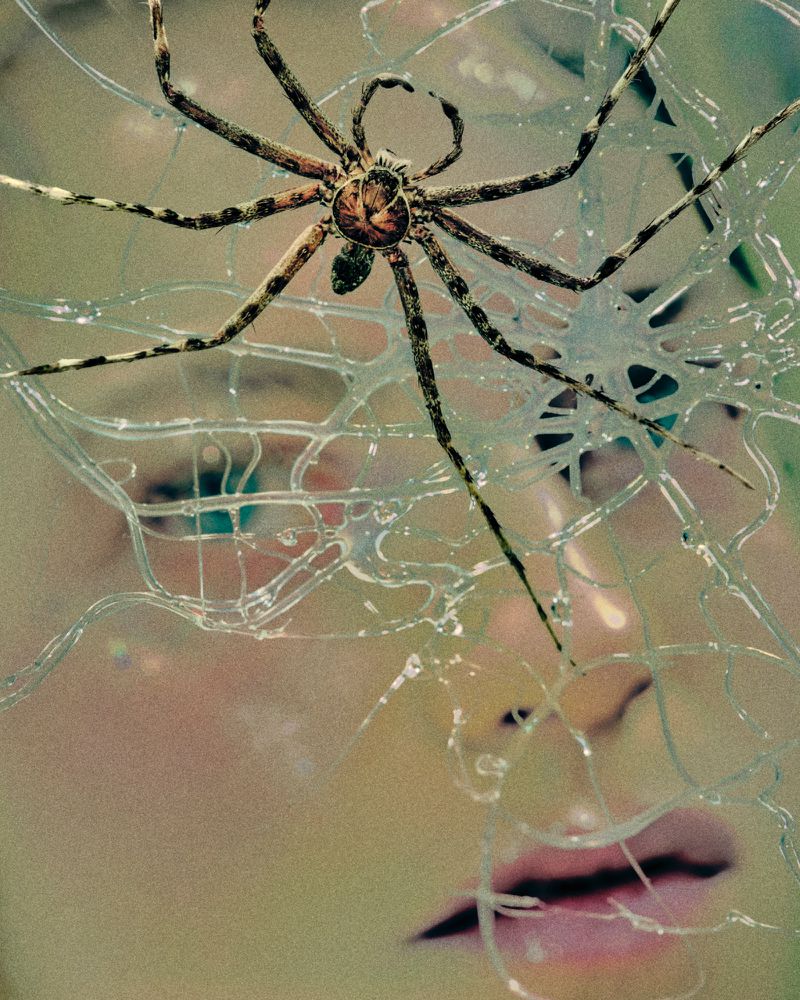Striking close-up of a brown spider on cracked glass, partially obscuring a woman's face, creating an eerie and surreal composition.