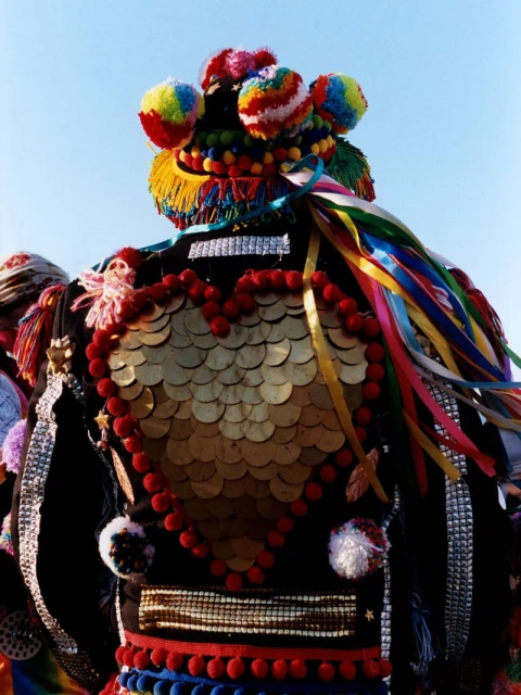 Person in vibrant, elaborate costume featuring colorful pom-poms, ribbons, and a heart-shaped design of gold discs on a black fabric.