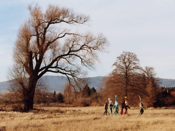 Group of people in costumes walking on grassy field near a large tree with mountains in the distance on a sunny day.