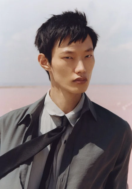 Portrait of an Asian man in a grey collared shirt, black tie, and grey jacket against a pink lake and sky background, medium shot.