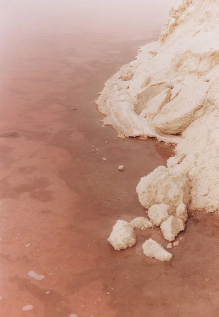 Pink salt lake with white mineral deposits along the shore, creating a surreal and minimalist nature landscape with muted colors.