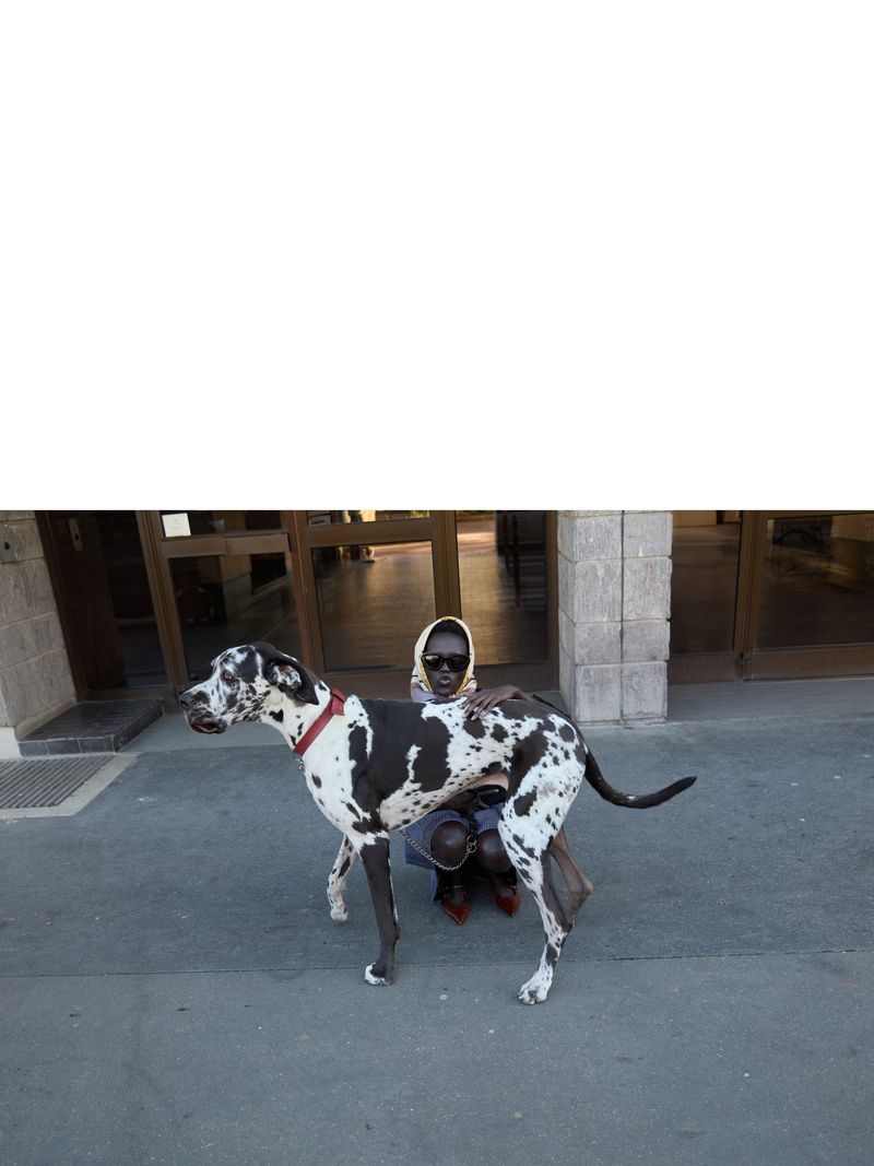 Woman poses outdoors with a large harlequin Great Dane dog, showing the breed's impressive size and striking coat pattern.