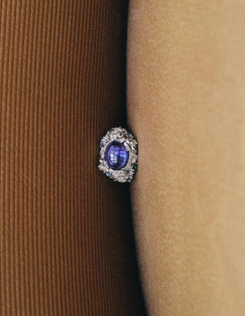 Close-up of an elaborate jewel attached to a light-brown fabric. The jewel features a large, round, deep-purple stone surrounded by smaller gems.