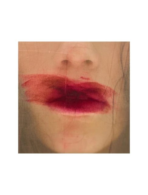 Close-up studio shot of an adult female with dark red lipstick partially smudged, and netting partially covering the face.
