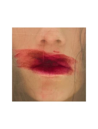 Close-up studio shot of an adult female with dark red lipstick partially smudged, and netting partially covering the face.