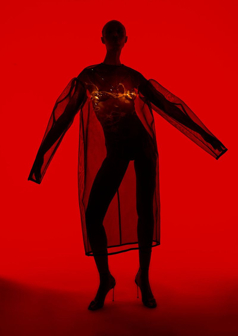 Silhouette of a fashion model in a transparent dress on a vivid red background, creating a striking contrast and emphasizing form.