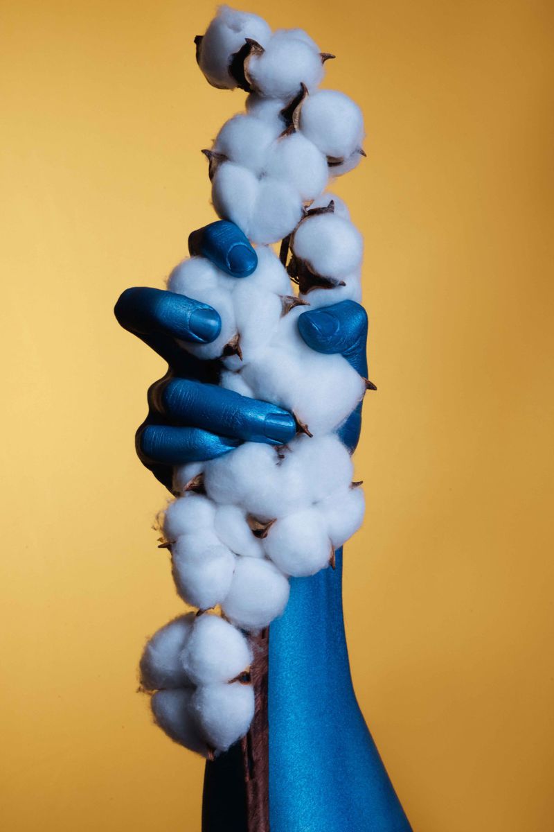 Close-up of a blue-painted hand holding fluffy cotton flowers, set against a smooth gradient background ranging from gold to warm beige.