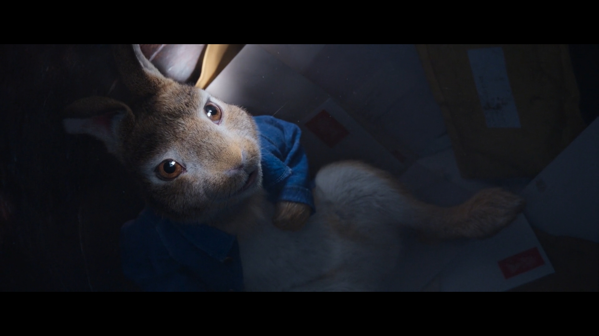 Close-up of a light brown rabbit wearing a blue jacket, lying on its back in a box, looking up with its brown eyes in a dark setting.