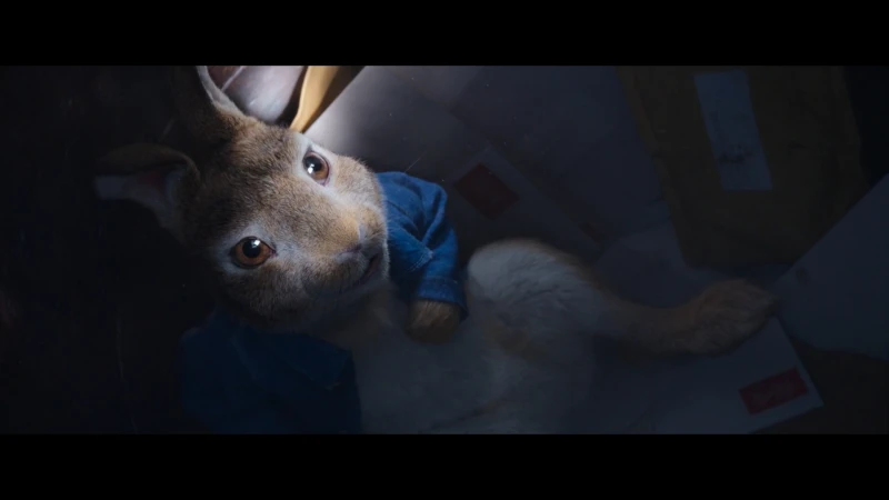 Close-up of a light brown rabbit wearing a blue jacket, lying on its back in a box, looking up with its brown eyes in a dark setting.