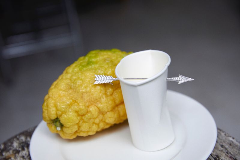 Still life shot of a citron and white cup on a white plate, both pierced by decorative silver arrows, against a blurred background.