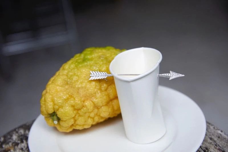 Still life shot of a citron and white cup on a white plate, both pierced by decorative silver arrows, against a blurred background.