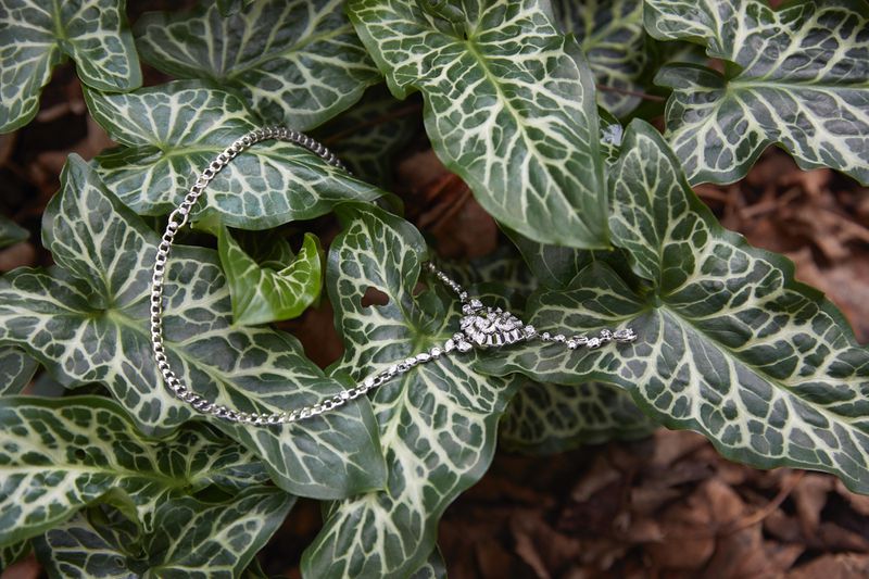 Close-up of a silver necklace with floral embellishments laid on variegated green and white leaves with a brown foliage background.