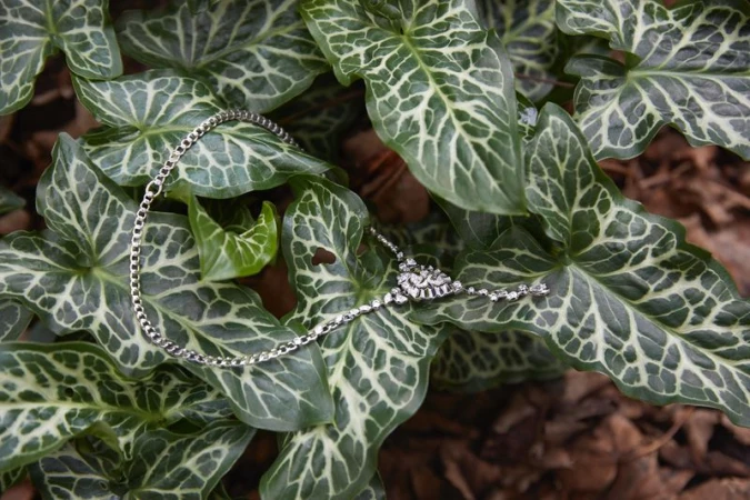 Silver diamond necklace nestled among lush green and white veined tropical leaves.