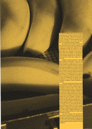 Graphic design featuring a cluster of yellow bananas with textured effect and overlaid text in Spanish for visual appeal.