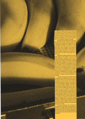 A close-up graphic image featuring stylized textured bananas next to a column of dense Spanish text with a grainy gold and black tone.