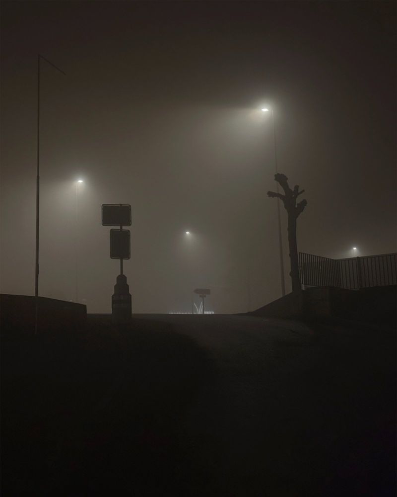 Streetlights illuminate a foggy road at night, casting a mysterious glow through dense fog, with dark silhouettes of signs and foliage.