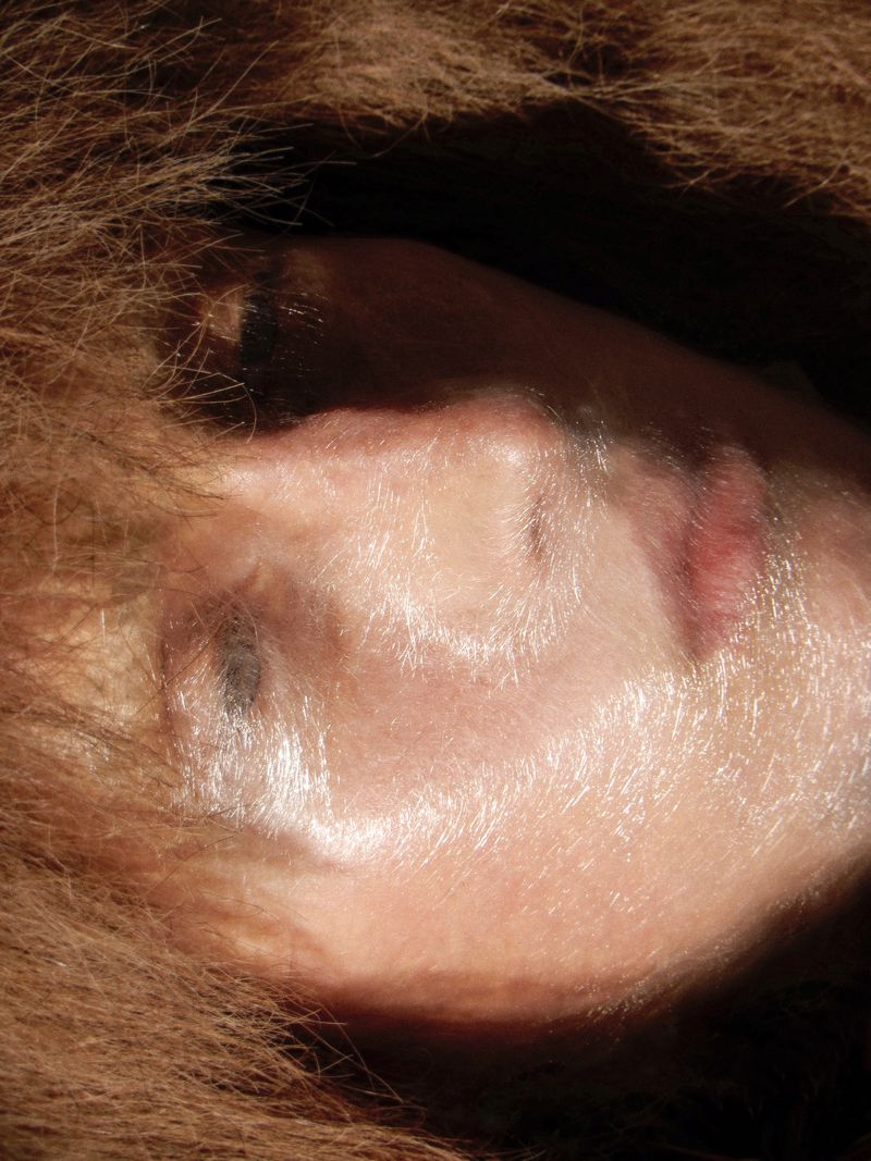 Extreme close-up portrait of a person framed by brown fur or textured hair