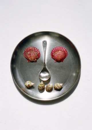 Seashells and a spoon form a face on a silver platter against a white background, creating a whimsical and artistic food still life.
