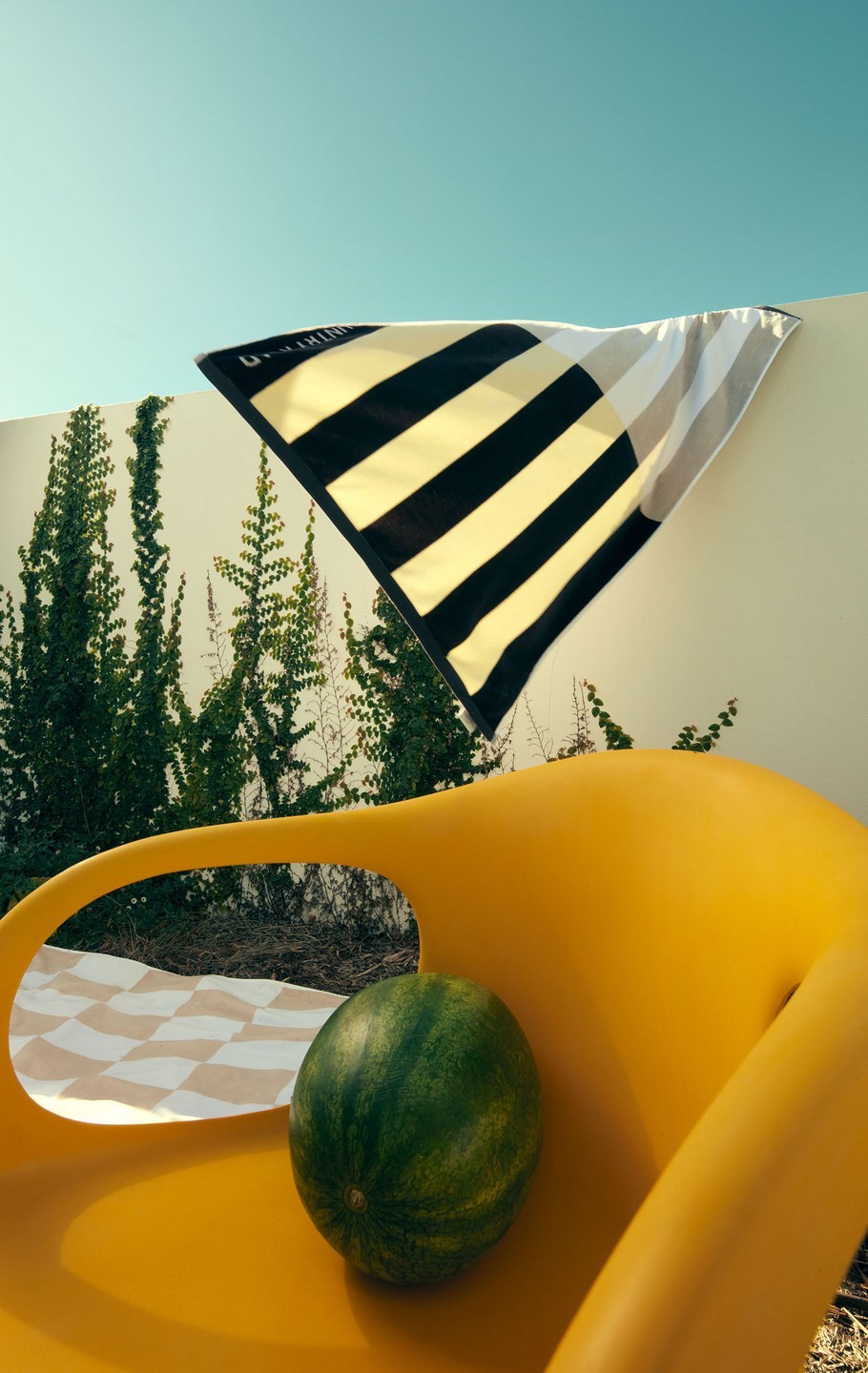 A watermelon sits on a yellow chair in front of a white wall with climbing plants and a striped black and white towel hanging on the wall.