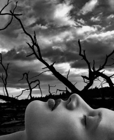 Black and white portrait of a woman lying down with bare tree branches silhouetted against a cloudy sky providing a dramatic backdrop.