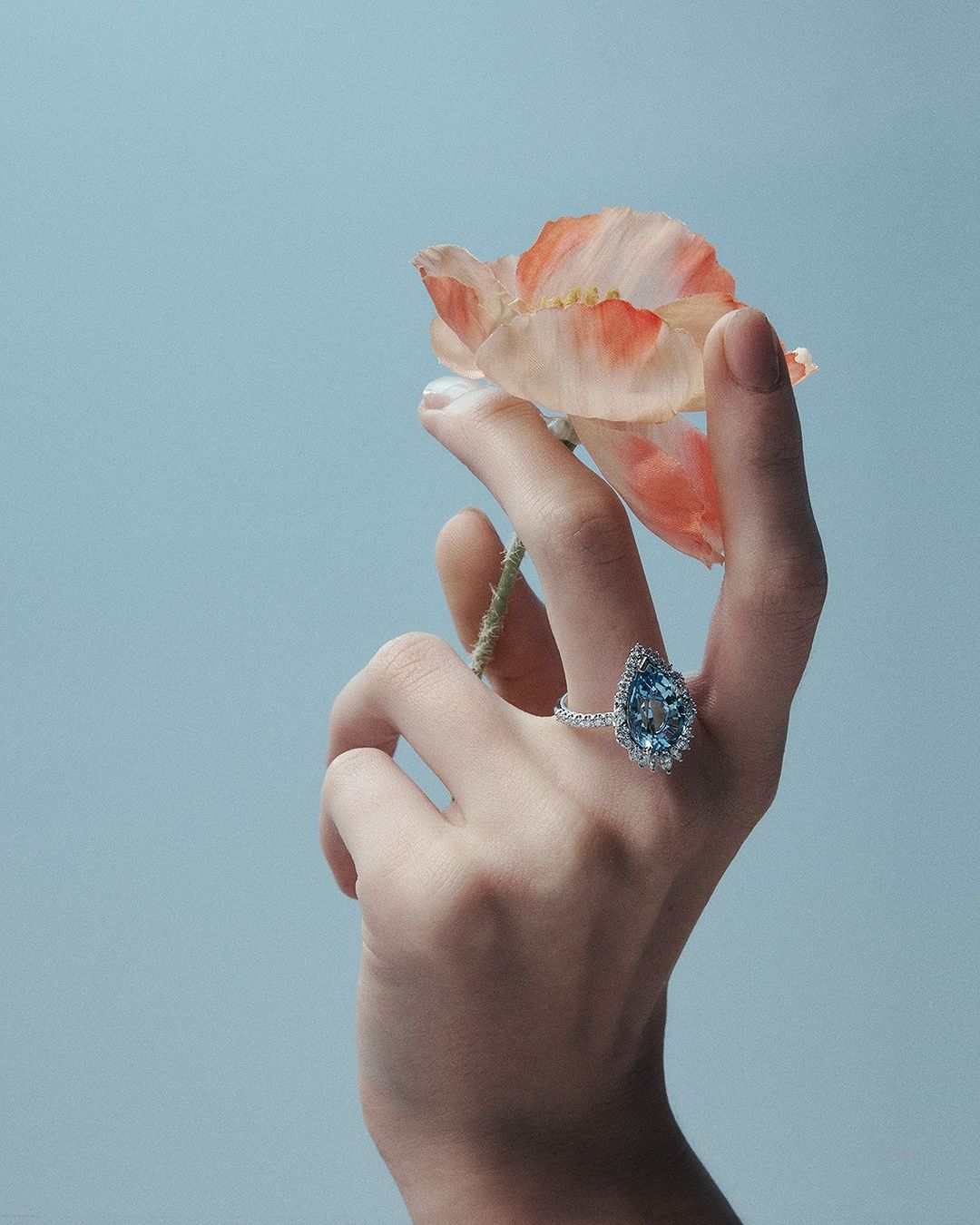 Hand holds an orange poppy with a blue teardrop diamond ring with white diamond halo against light blue background in studio lighting.
