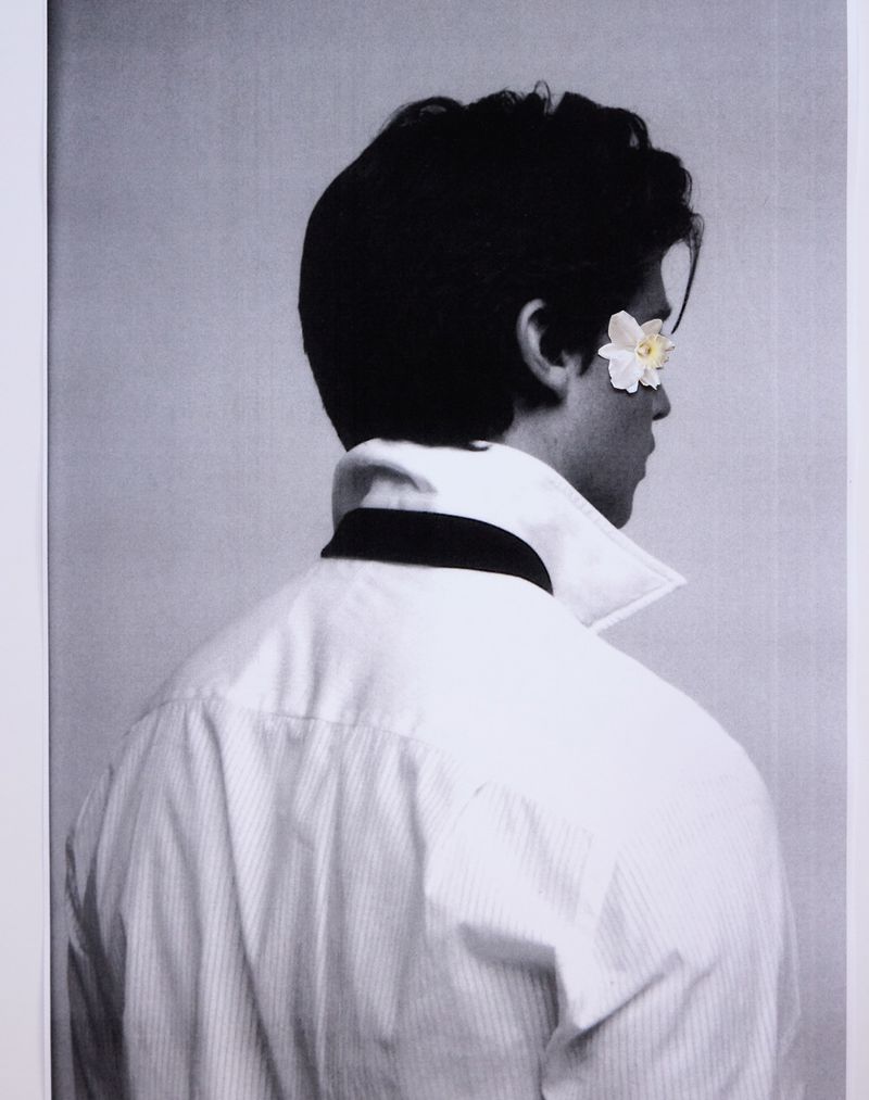 Man with flower over eye in black and white studio portrait. Dark hair, white shirt, black collar. Artistic, fashion photography.