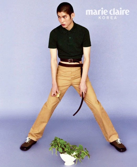 내게 무해한 것들