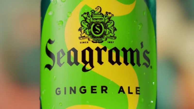 Seagram's Ginger Ale / The Coca-Cola Company 2024, Taste - Visie