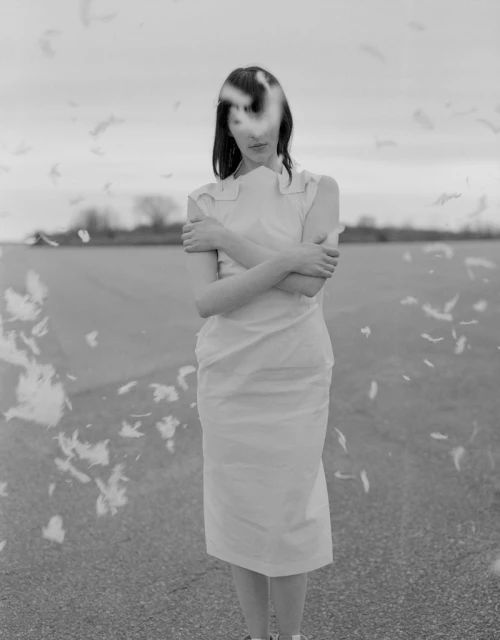 Monochrome image of a woman with arms crossed, wearing a dress amidst falling feathers against a cloudy sky and rural landscape.