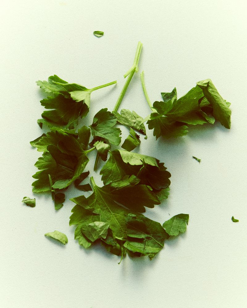 Overhead shot of fresh green parsley leaves on a white surface, showcasing the herb's vibrant color and delicate texture, ideal for culinary use.