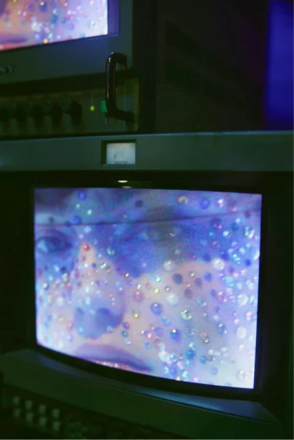 Pre Fall '24 Players