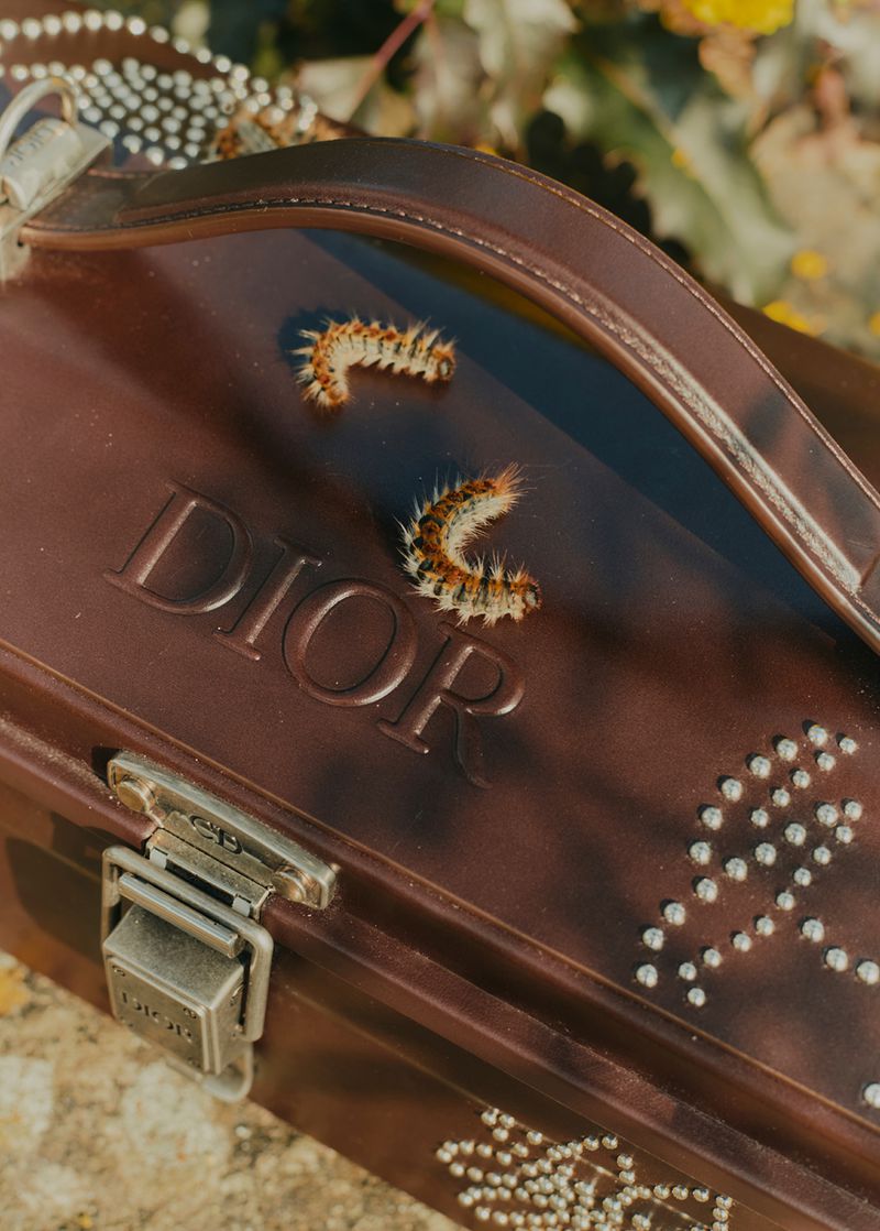 Close-up of a brown Dior handbag outdoors, featuring two caterpillars crawling on it, adorned with silver studs and the Dior logo.