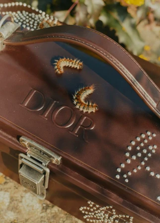 Close-up of a brown Dior handbag outdoors, featuring two caterpillars crawling on it, adorned with silver studs and the Dior logo.
