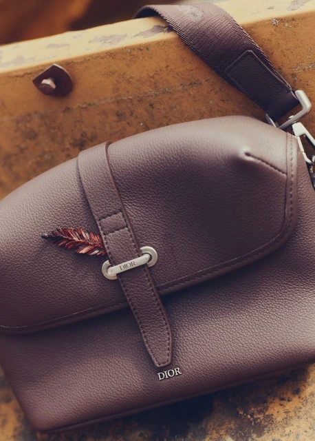 Close-up shot of a brown leather Dior saddle bag with a feather embellishment and brown fabric strap against a textured background.