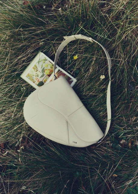 Ivory Dior saddle bag and floral-themed cards displayed on grassy field outdoors on overcast day with natural lighting.