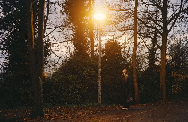 Woman in a coat standing under a bright streetlight at dusk or night, surrounded by trees in a park-like setting.