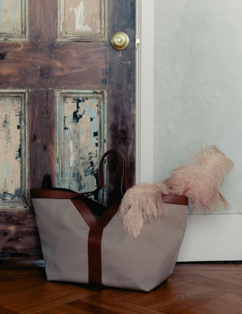 Grey and brown tote bag with a feather inside, leaning against a weathered door and wall, lit with natural light, on a wood floor.