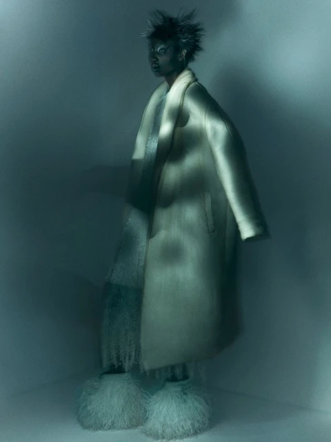 SCULPTED SHADOWS