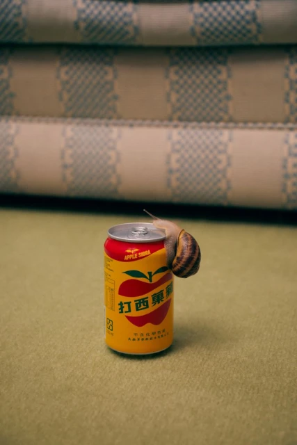 Snail crawling on a yellow can of apple soda with a white, patterned surface in the background and a light-green surface beneath.