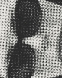 Close-up monochrome print of sunglasses featuring prominent halftone dot texture and visible printed patterns.