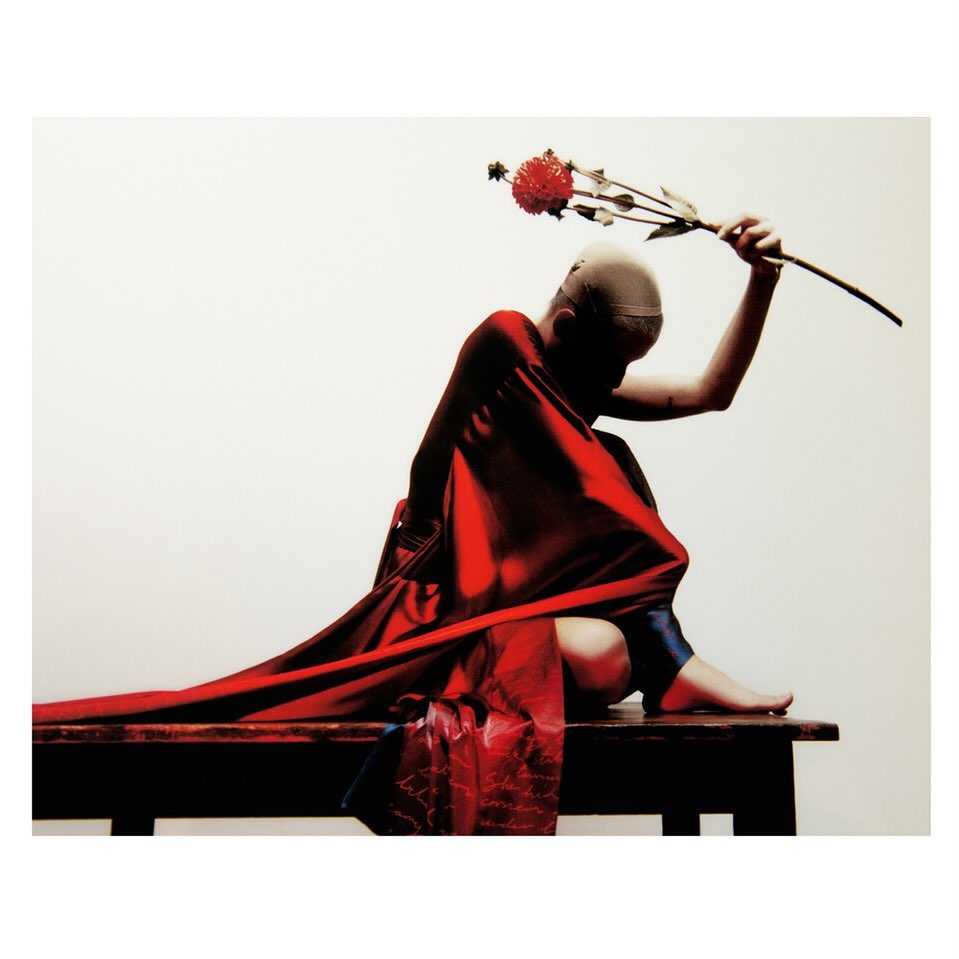 Artistic studio shot featuring a person draped in red fabric, seated on a dark wooden table, holding a red flower against a light background.