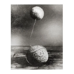 Black and white still life photograph featuring two spherical textured objects connected by a delicate thin filament.